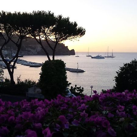 Giardino Mediterraneo Lacco Ameno  Eksteriør billede