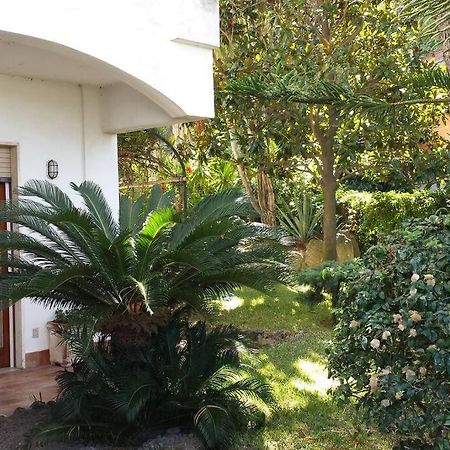 Giardino Mediterraneo Lacco Ameno  Eksteriør billede