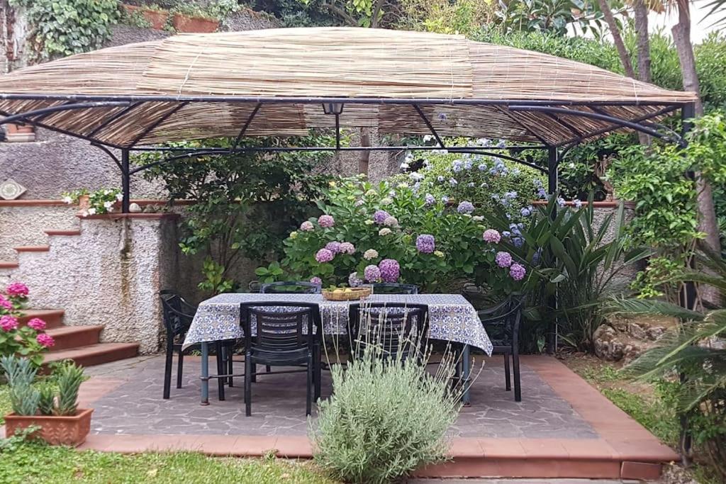 Giardino Mediterraneo Lacco Ameno  Eksteriør billede