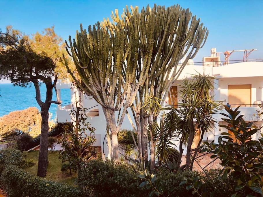 Giardino Mediterraneo Lacco Ameno  Eksteriør billede