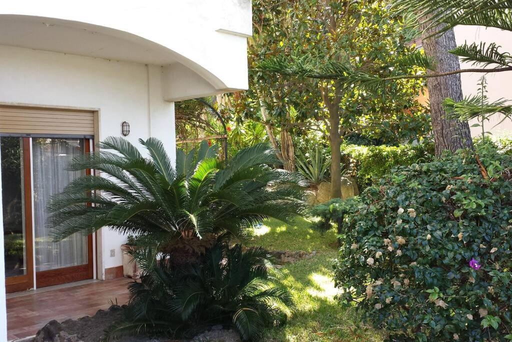 Giardino Mediterraneo Lacco Ameno  Eksteriør billede