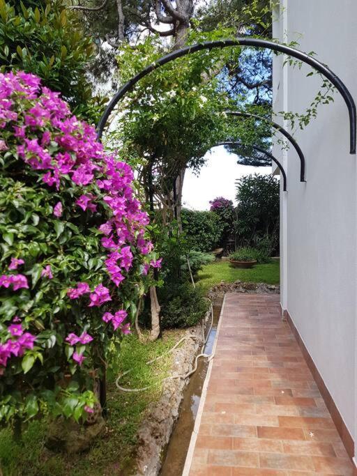 Giardino Mediterraneo Lacco Ameno  Eksteriør billede
