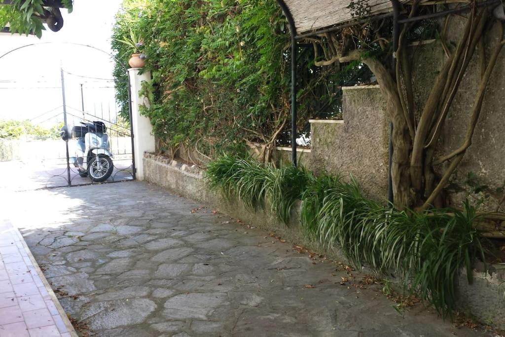 Giardino Mediterraneo Lacco Ameno  Eksteriør billede